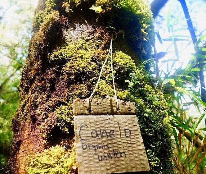 Ecoturismo Los Manzanos