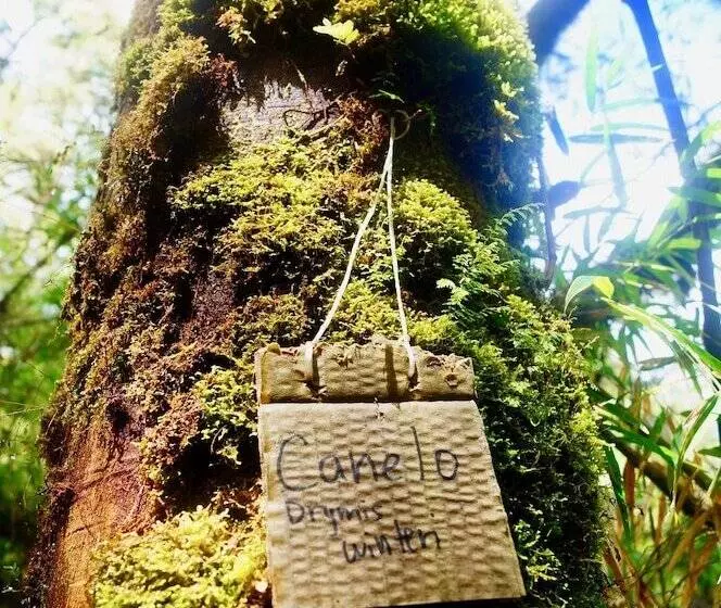 Ecoturismo Los Manzanos