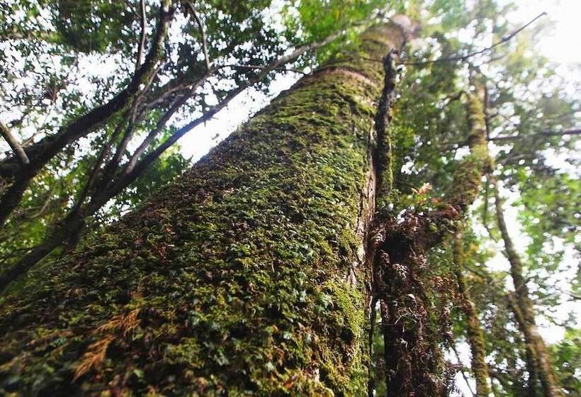 Ecoturismo Los Manzanos