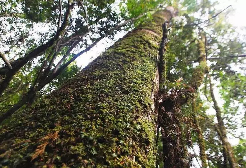 Ecoturismo Los Manzanos