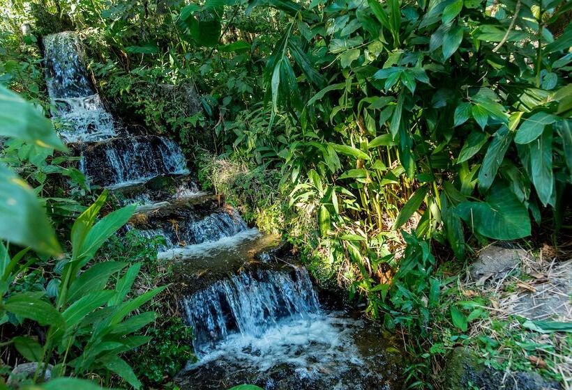 Finca Hotel Paraiso Terrenal