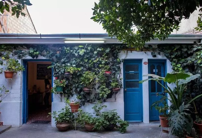 Hostel Casa Blanca Tarija