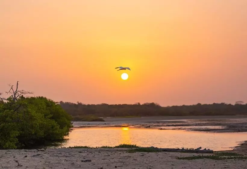 Hotelli Awatawaa Ecolodge