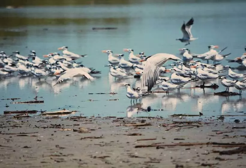 Hotelli Awatawaa Ecolodge