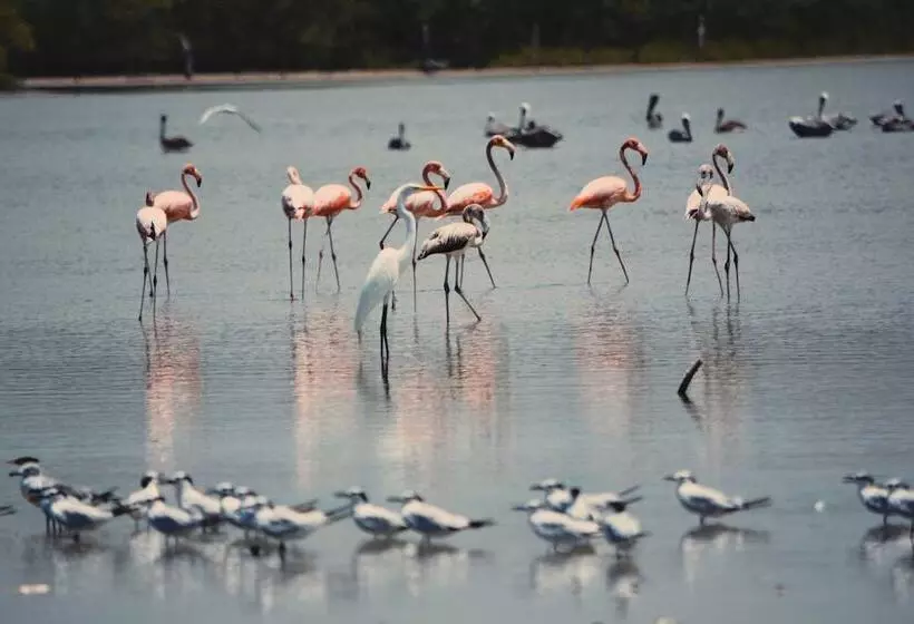 Hotelli Awatawaa Ecolodge