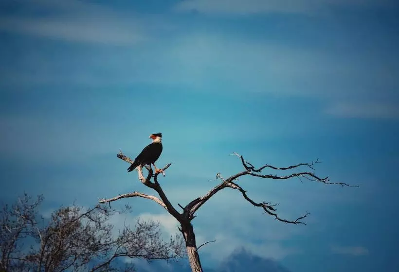 Hotelli Awatawaa Ecolodge