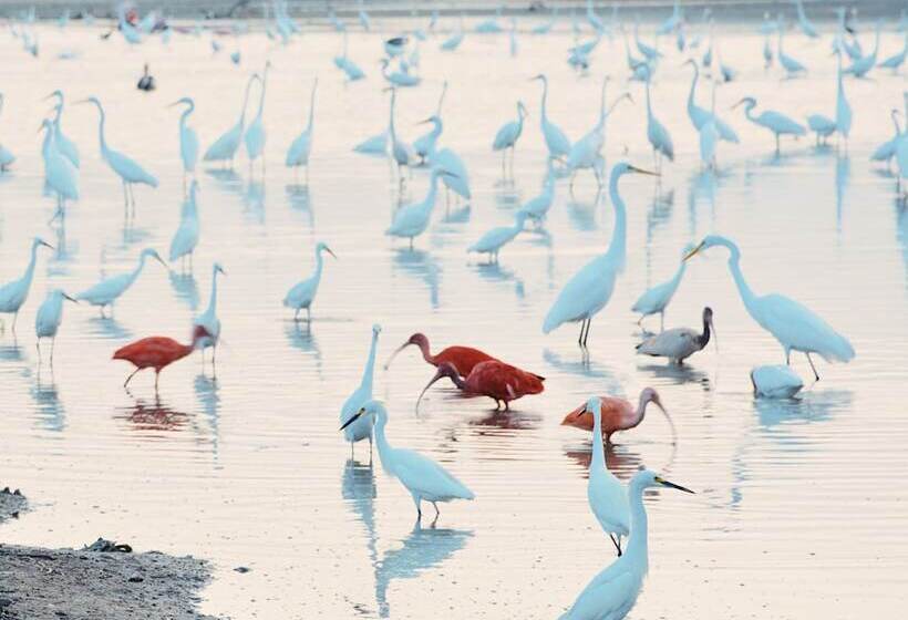 هتل Awatawaa Ecolodge