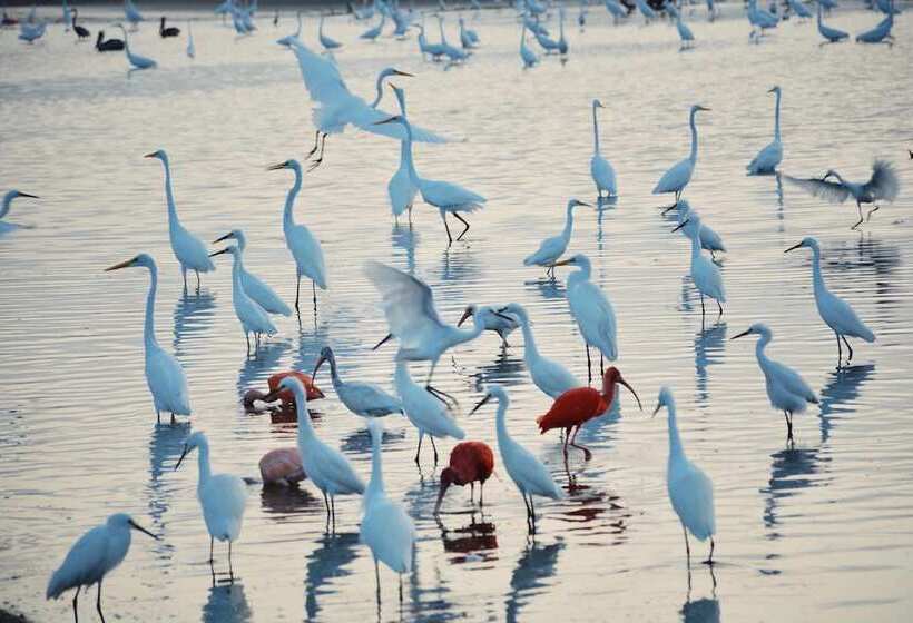 هتل Awatawaa Ecolodge