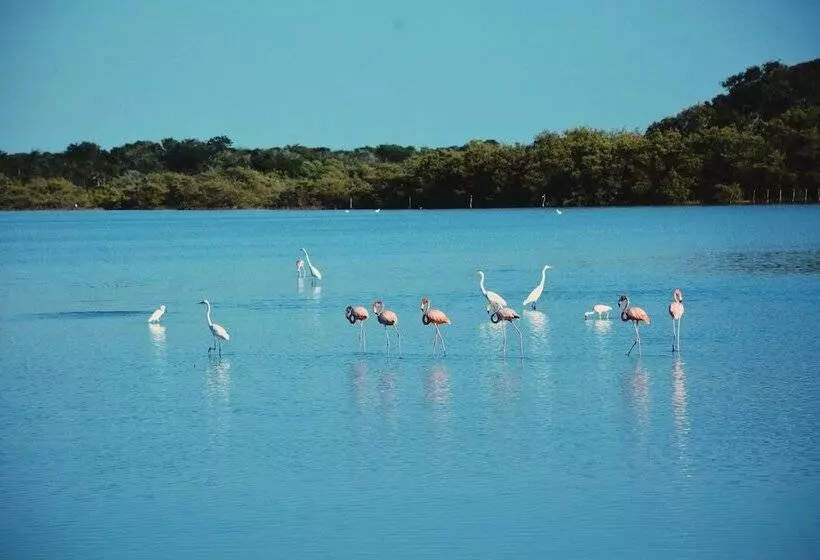 Hotelli Awatawaa Ecolodge