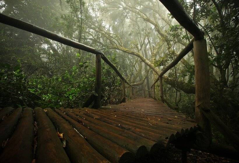 בית מלון כפרי Casamolle Villa & Golf