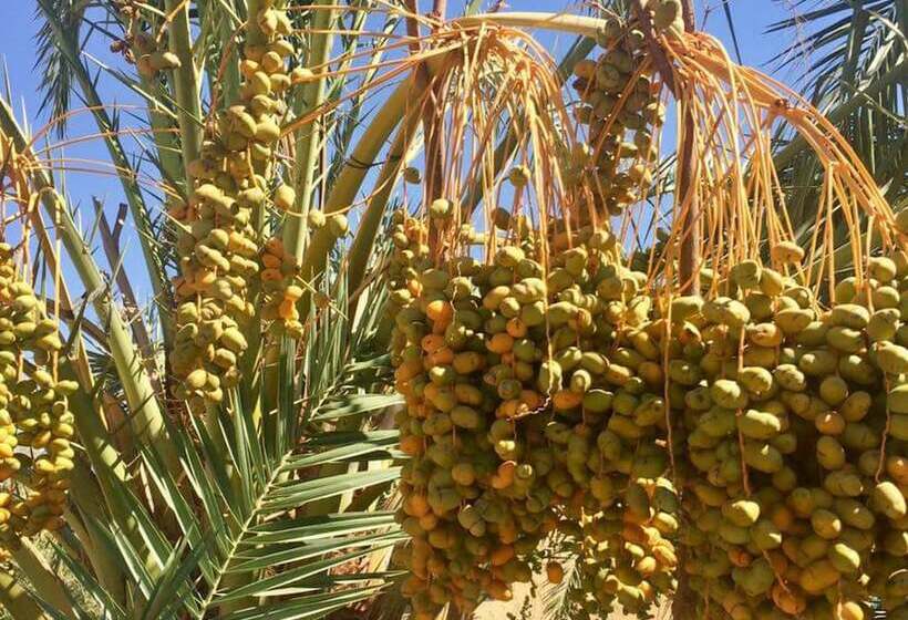 هتل Le Jardin Sous La Lune