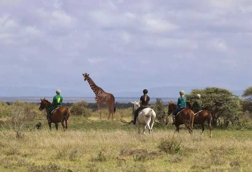 هتل Loisaba Lodo Springs