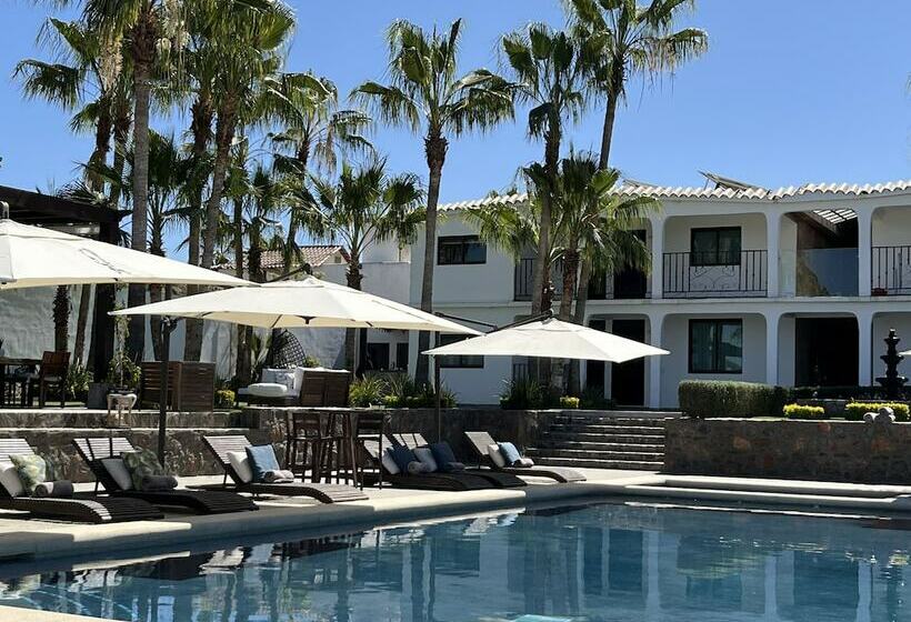 ホテル Santa Rosa