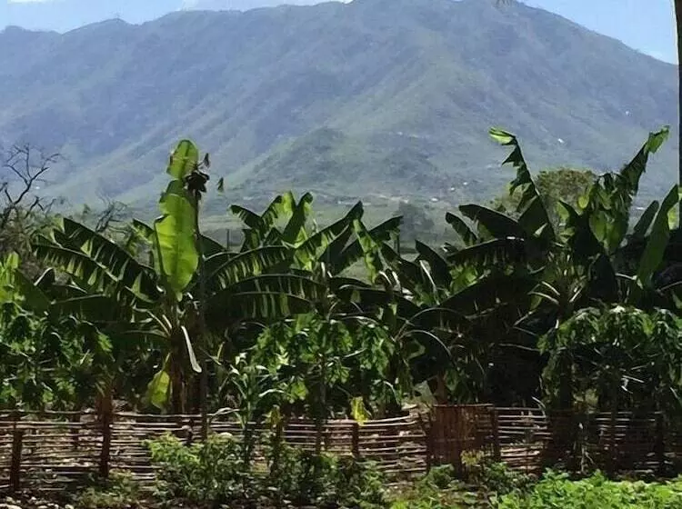 ホテル Simbamwenni Lodge And Camping