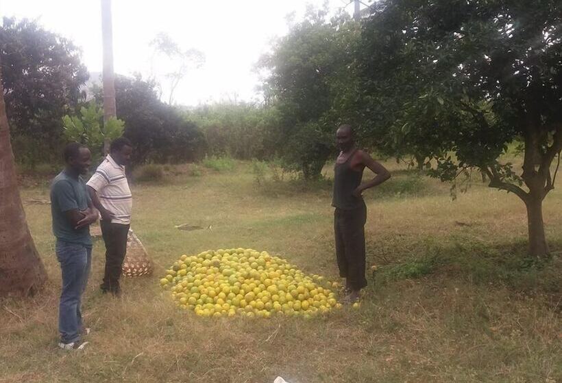 酒店 Simbamwenni Lodge And Camping