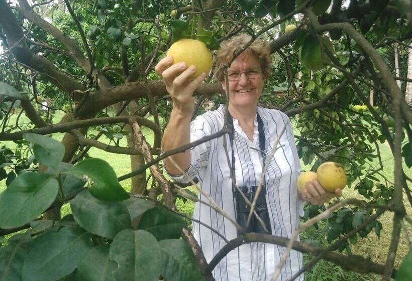 酒店 Simbamwenni Lodge And Camping