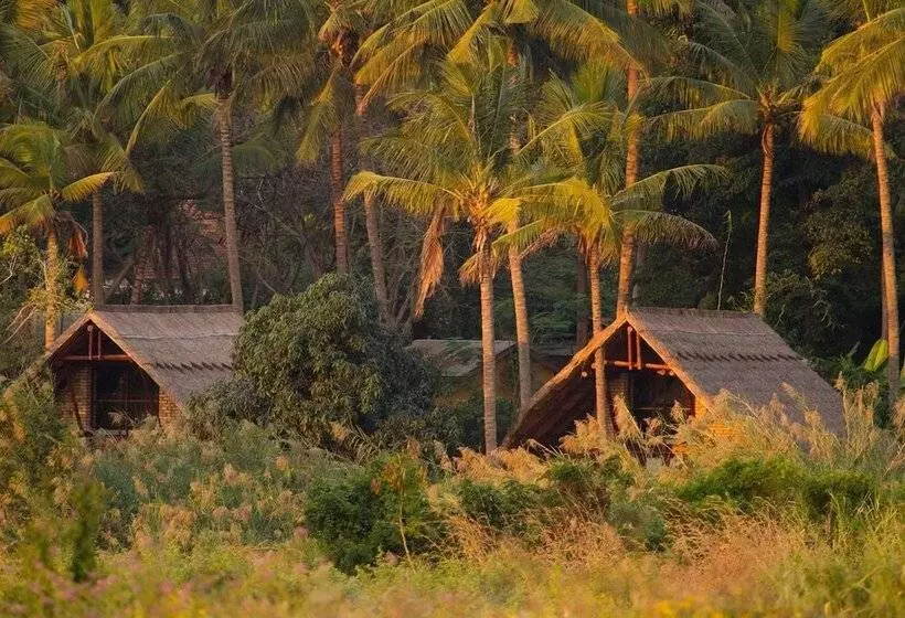 ホテル Simbamwenni Lodge And Camping