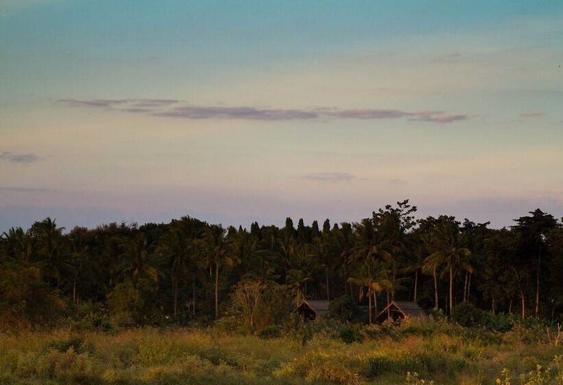 酒店 Simbamwenni Lodge And Camping