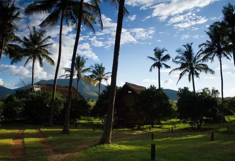ホテル Simbamwenni Lodge And Camping