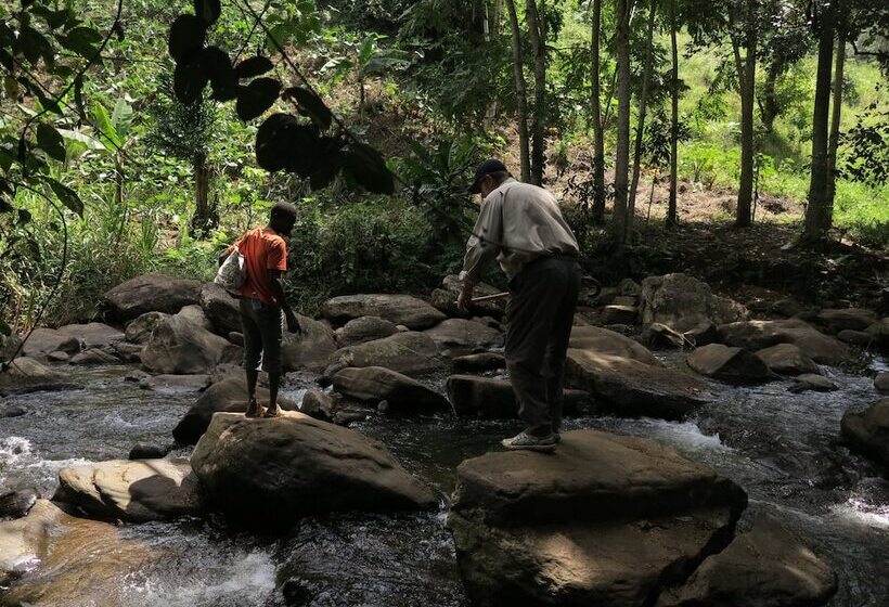 酒店 Simbamwenni Lodge And Camping