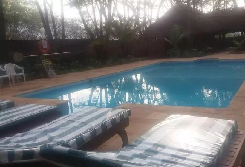 ホテル Simbamwenni Lodge And Camping