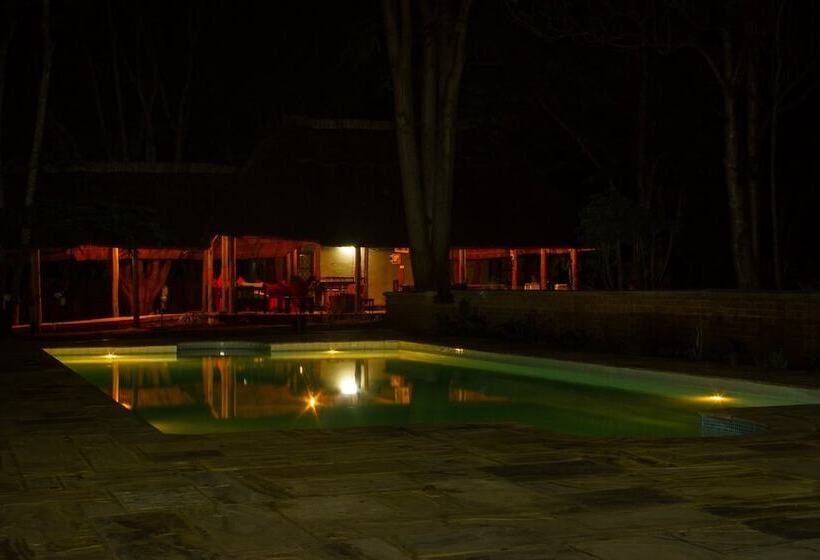 酒店 Simbamwenni Lodge And Camping