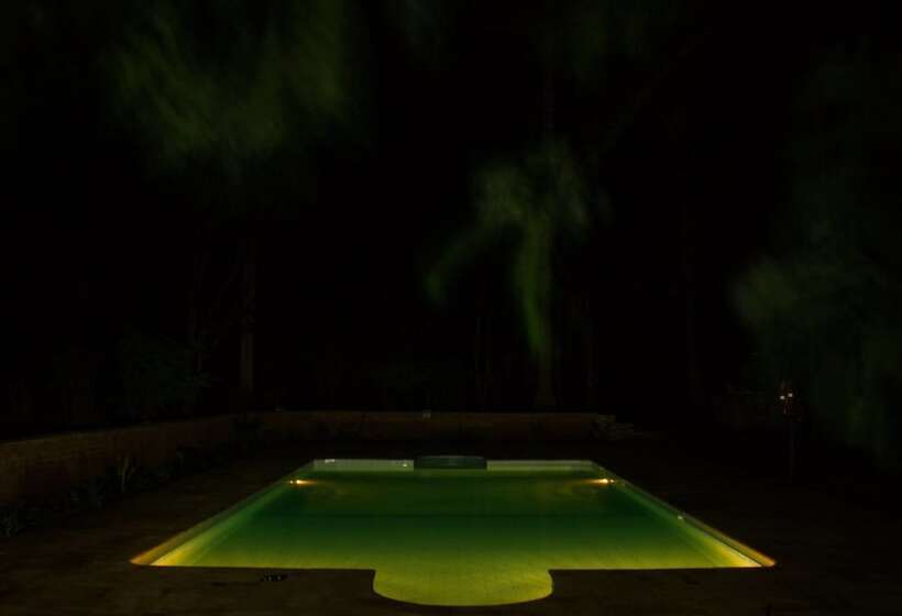 酒店 Simbamwenni Lodge And Camping