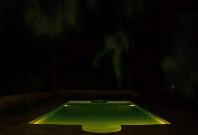 ホテル Simbamwenni Lodge And Camping