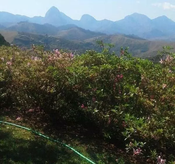 Hotelli Suites Em Meio A Mata Atlantica