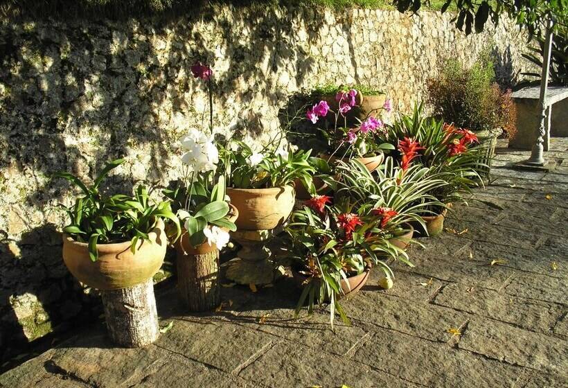 בית מלון כפרי Suites Em Meio A Mata Atlantica