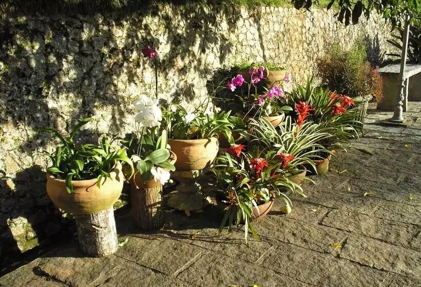 Hotelli Suites Em Meio A Mata Atlantica