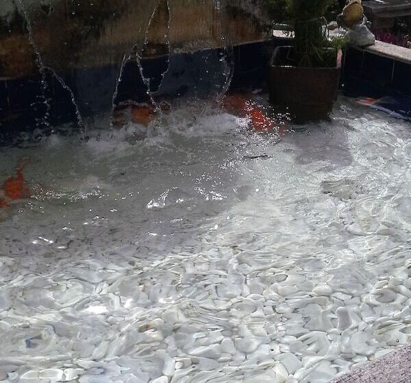 בית מלון כפרי Suites Em Meio A Mata Atlantica