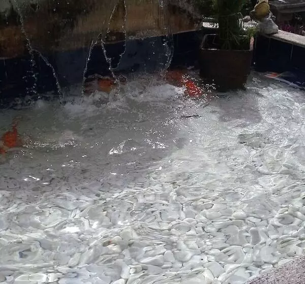 Hotelli Suites Em Meio A Mata Atlantica