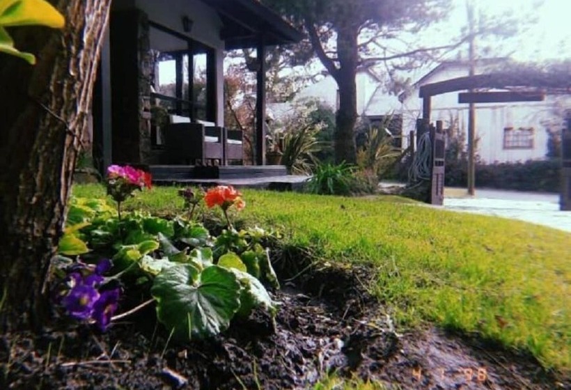 هتل Villa Ostende Apart