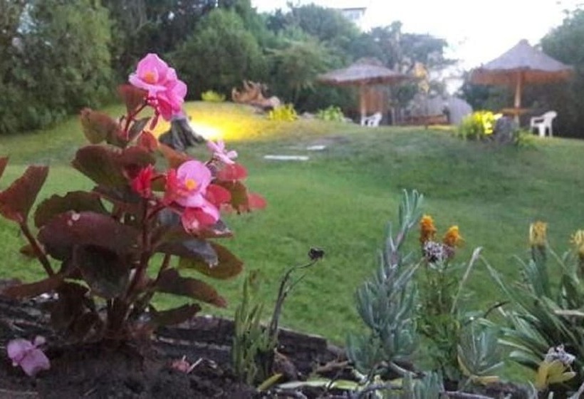 هتل Villa Ostende Apart