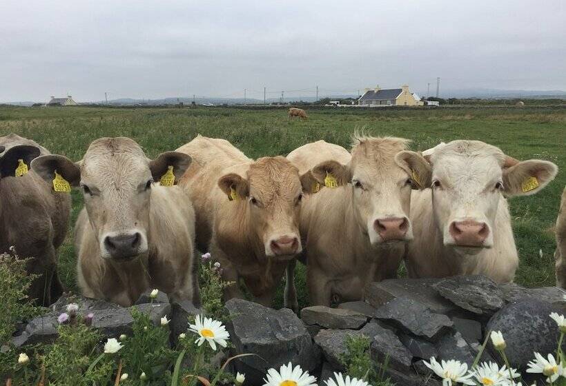 펜션 Berrylodge Country House