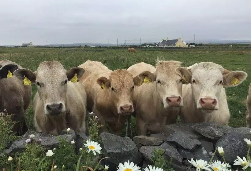 Majatalo Berrylodge Country House