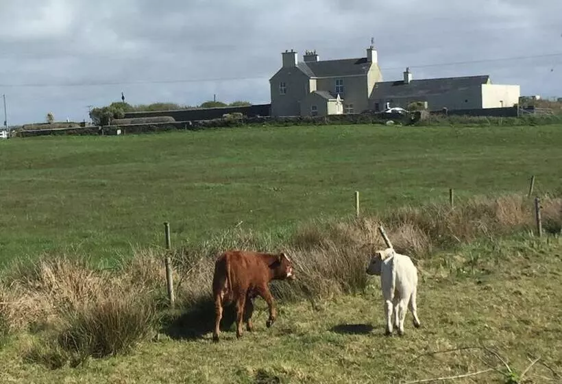 Majatalo Berrylodge Country House
