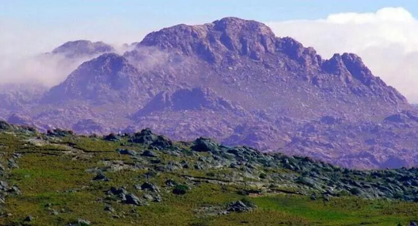 Majatalo The Gringos