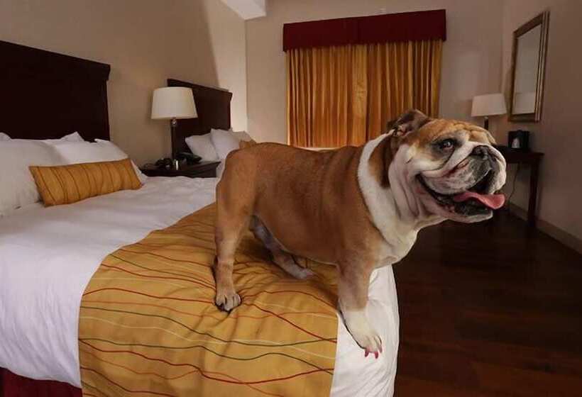 Wind River Hotel And Casino