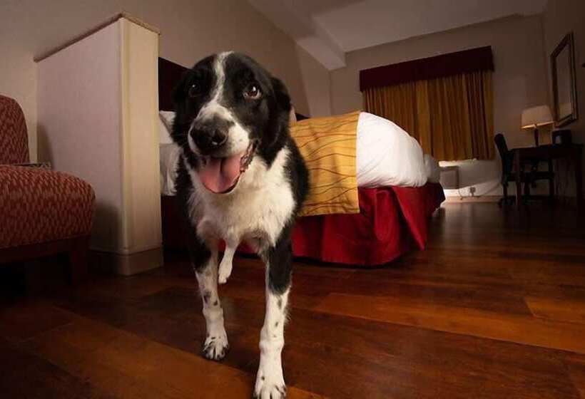 Wind River Hotel And Casino