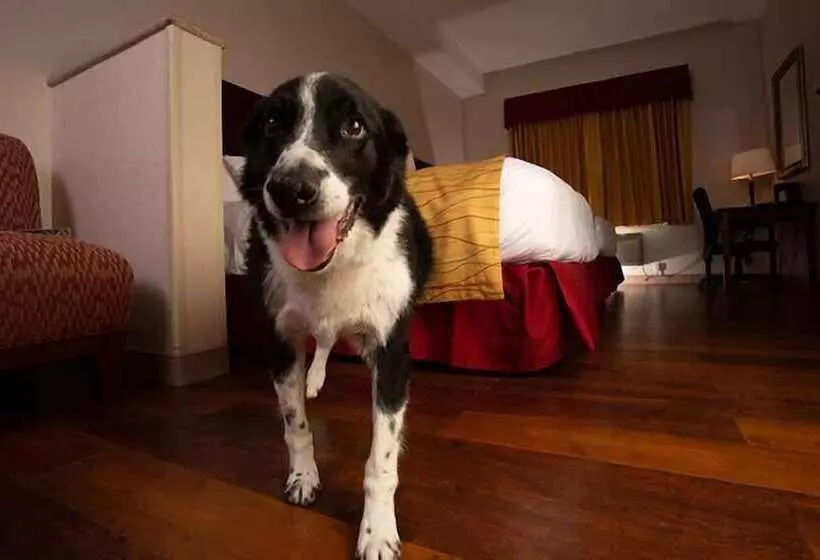 Wind River Hotel And Casino