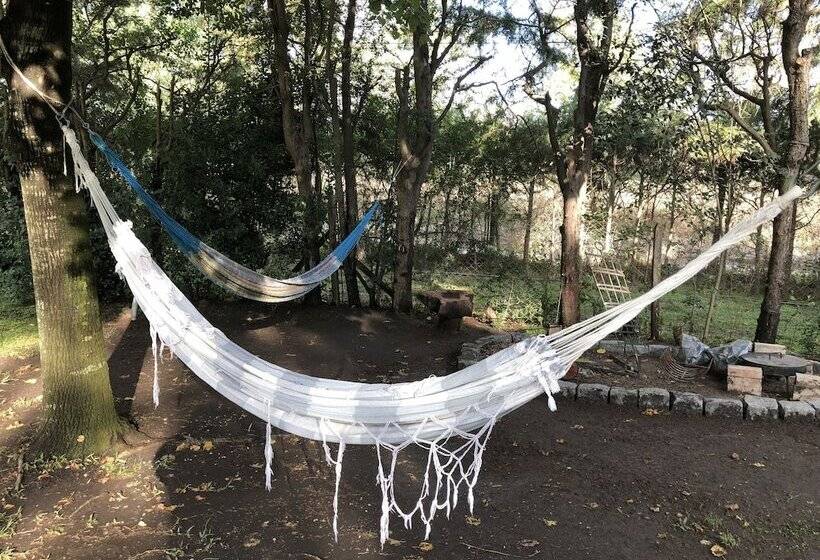 Bed and Breakfast Lo Del Colo