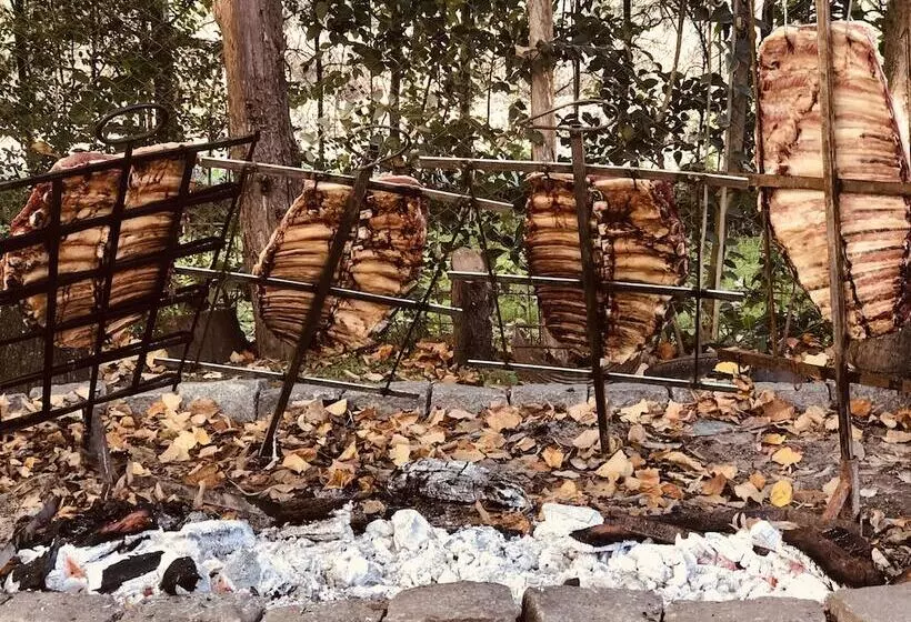 Aamiaismajoitus (B&B) Lo Del Colo