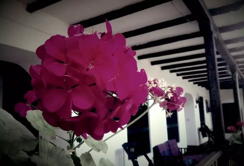 Hostal Revash