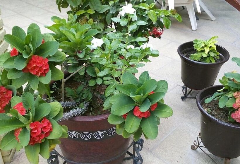 호텔 Posada Del Rey