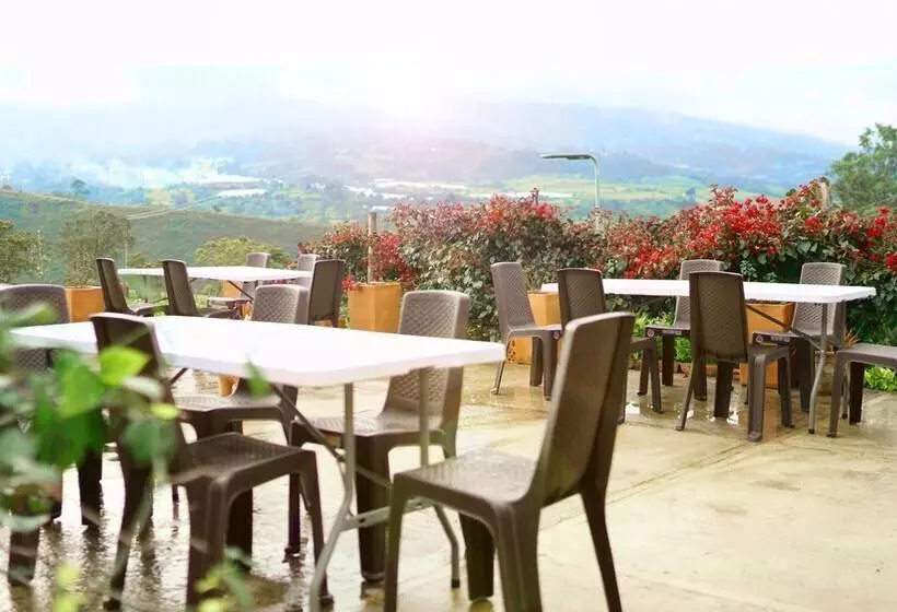 ホテル Posada Ecoturistica Villa Rouse