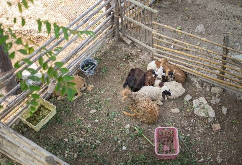 ホテル Rai Ruen Rom Organic Farm