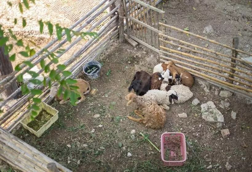 Hotelli Rai Ruen Rom Organic Farm