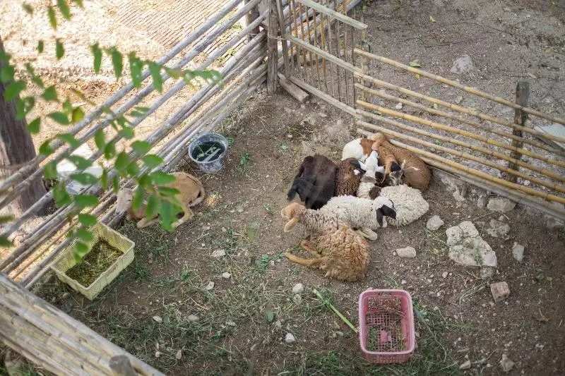 Hotelli Rai Ruen Rom Organic Farm